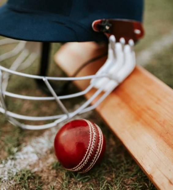 cricket-equipments-green-grass (1)